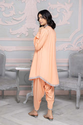 2-PC Embroidered Brosha Shirt With Brosha Tulip Shalwar CNP22-101